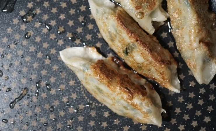 difference between gyoza and dumplings