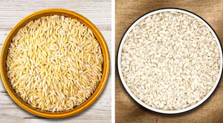 Doria vs risotto Doria vs risotto