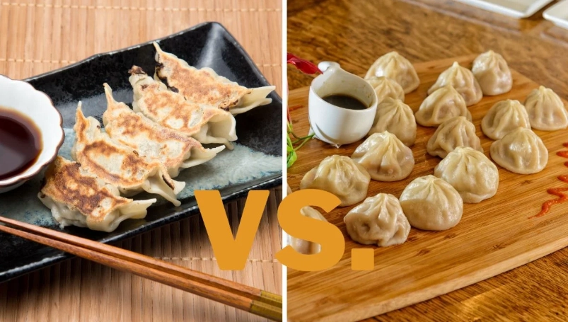 fried dumplings vs gyoza