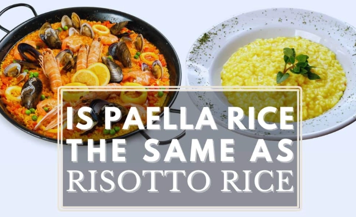 Doria vs risotto Doria vs risotto