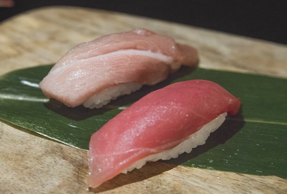 otoro vs maguro