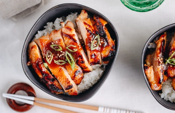 Traditional japanese chicken dishes