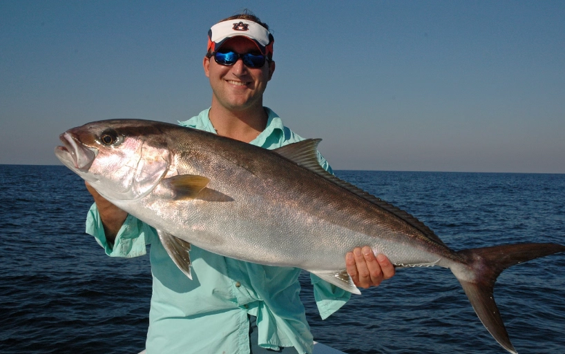 how to catch Amberjack