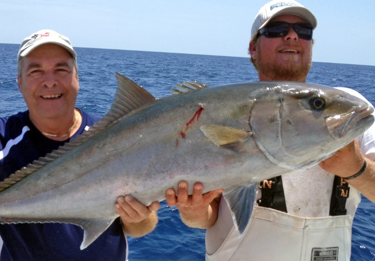 how to catch Amberjack