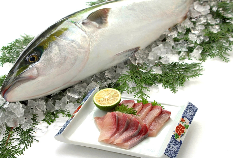 Is buri fish healthy? Is buri fish healthy?