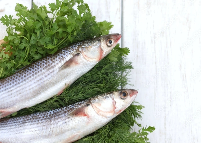 Yellowtail nutrition Yellowtail nutrition