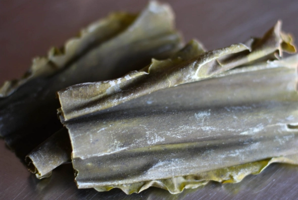 how to use kombu