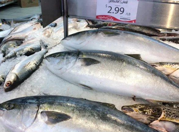 buri fish nutrition buri fish nutrition