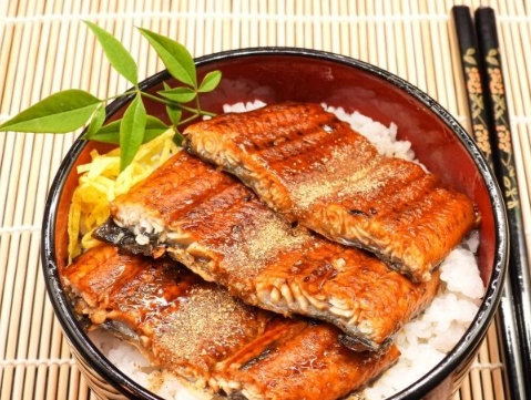 kabayaki unagi