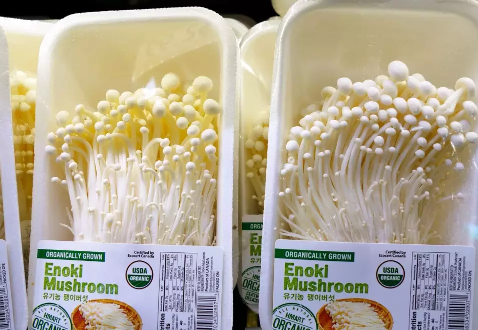 enoki mushroom recipes