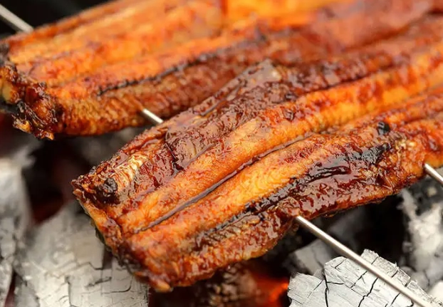 grilled eel recipe grilled eel recipe