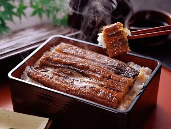 grilled eel grilled eel