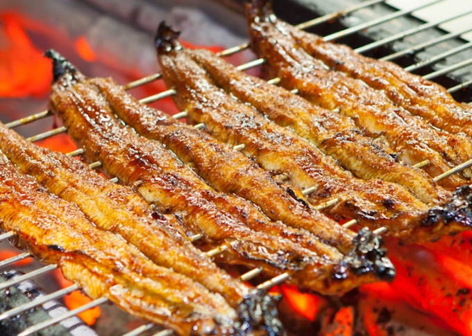 best grilled eel best grilled eel
