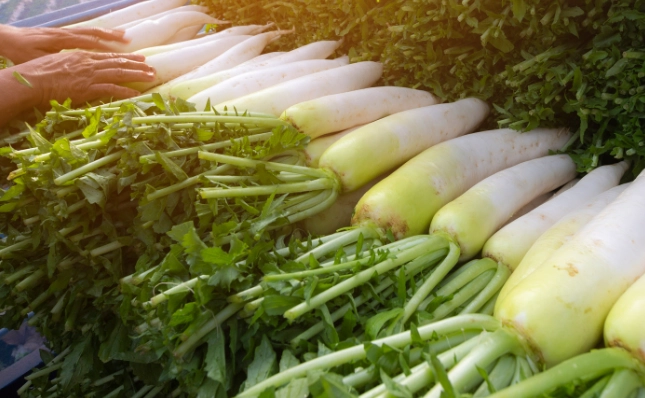 daikon radish recipes