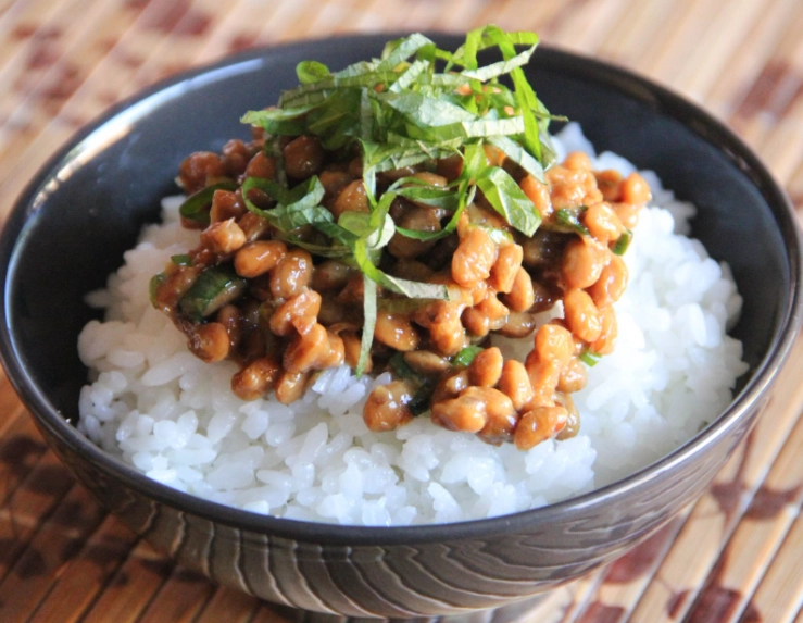 authentic japanese food