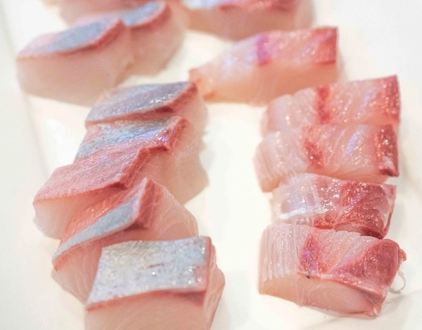 is yellowtail safe to eat raw