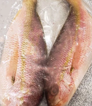 yellowtail sashimi