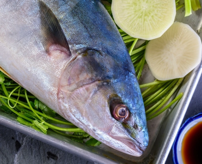 is yellowtail safe to eat raw