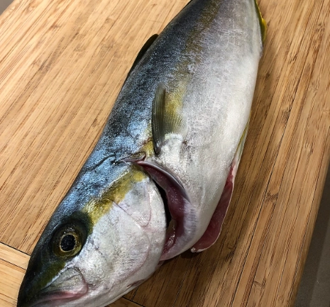 hamachi raw