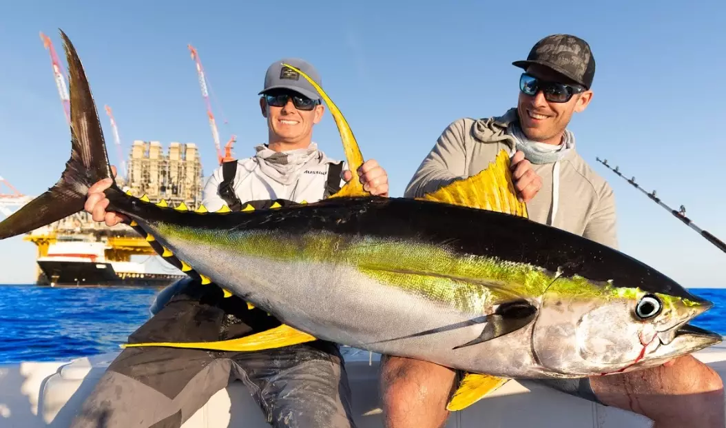 yellowtail fish