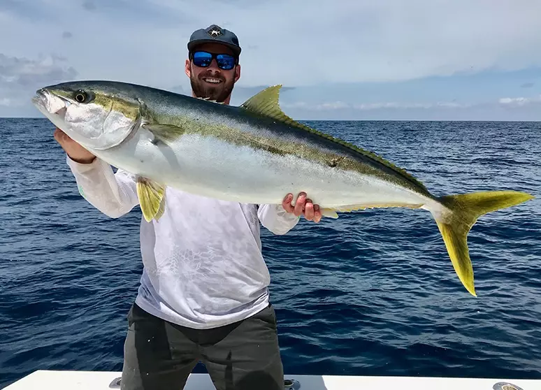 is yellowtail a tuna